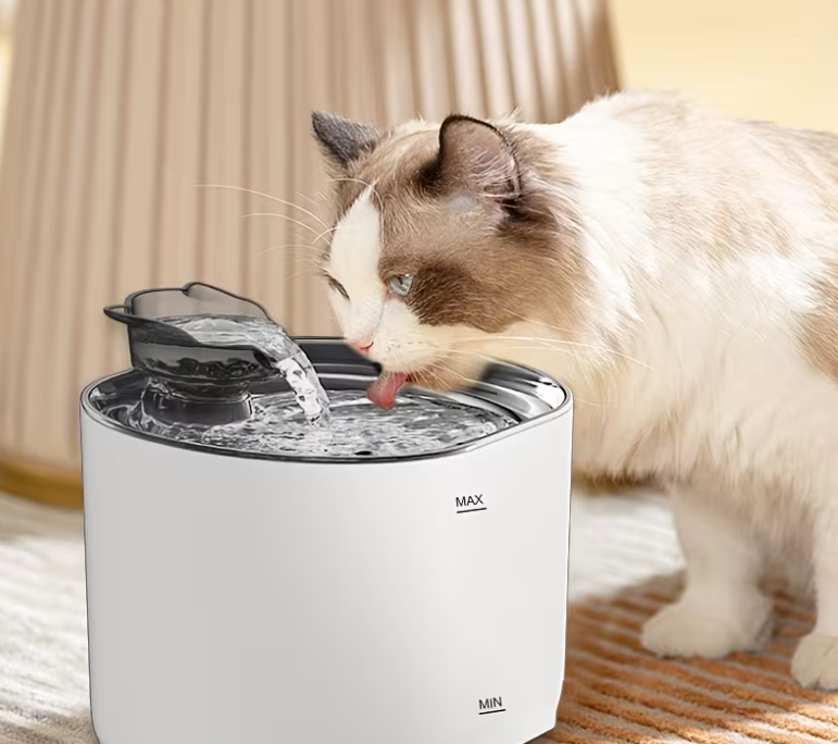 Katzen Trinkbrunnen – Frisches Wasser für gesunde Katzen 💧