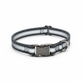 Reflektierendes Hundehalsband - Verstellbar & Gepolstert