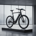 E-Bike Elektrofahrrad 250W
