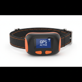 GPS Halsband für Hunde – Echtzeit-Tracking & Sicherheit 📍